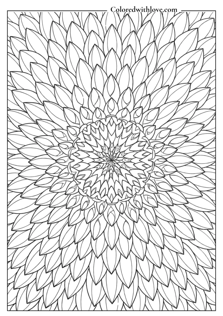 Organized, concentric dahlia flower petals in this bold and clear flowers coloring page.
