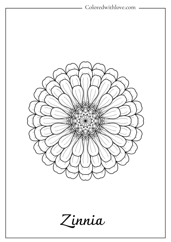 Structured zinnia flower with rows of spoon-shaped petals in this bold vector-style flowers coloring page.
