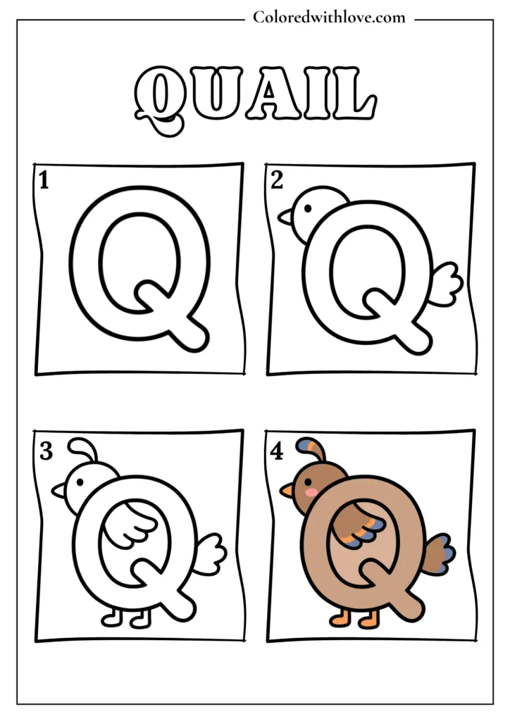 Drawing from Letter Q Quail Coloring Page for Kids